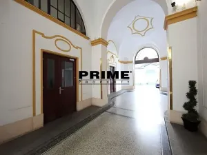 Pronájem bytu 2+1, Praha - Nové Město, Záhořanského, 124 m2