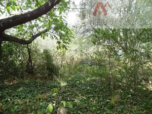 Prodej rodinného domu, Džbánice, 135 m2