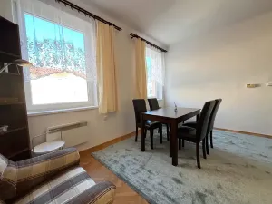 Pronájem bytu 1+1, Brno, Gorkého, 40 m2
