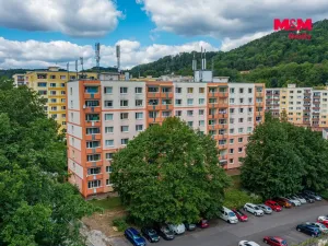 Pronájem bytu 1+1, Ústí nad Labem, Peškova, 38 m2