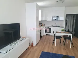 Pronájem bytu 1+kk, Vyškov, Sídliště Osvobození, 42 m2