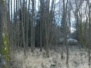 Prodej pozemku, Kočov, 5244 m2