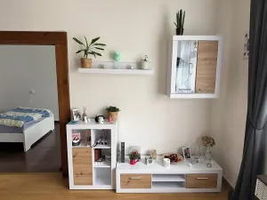 Pronájem bytu 2+kk, Praha - Žižkov, Hartigova, 52 m2