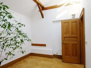 Pronájem bytu 4+1, Praha - Josefov, Žatecká, 195 m2
