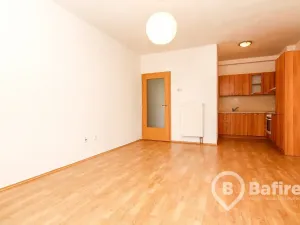 Pronájem bytu 2+kk, Frýdek-Místek, Slezská, 52 m2