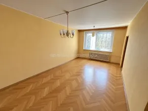 Prodej bytu 1+1, Přerov, U Tenisu, 40 m2