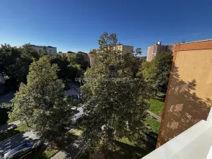 Prodej bytu 1+1, Přerov, U Tenisu, 40 m2