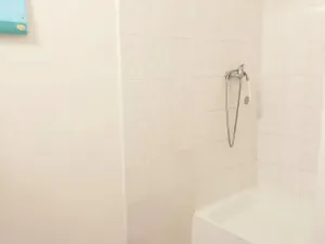 Pronájem bytu 2+kk, Praha - Vinohrady, 45 m2