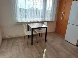 Pronájem bytu 1+1, Hradec Králové, Štefánikova, 40 m2