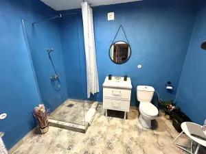 Prodej rodinného domu, Líšnice, 300 m2