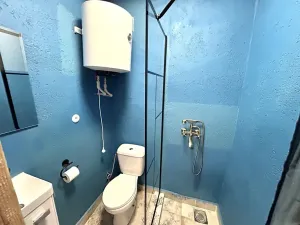 Prodej rodinného domu, Líšnice, 300 m2