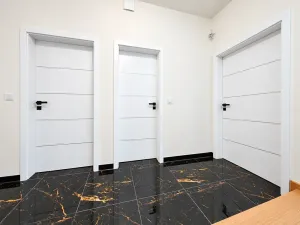 Prodej vícegeneračního domu, Šestajovice, Komenského, 275 m2