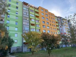 Prodej bytu 3+1, České Budějovice - České Budějovice 2, J. Bendy, 72 m2