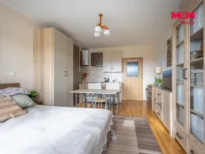 Prodej bytu 1+kk, Brandýs nad Labem-Stará Boleslav - Brandýs nad Labem, Vrábská, 30 m2