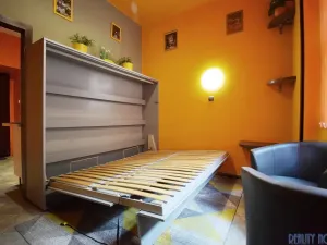 Pronájem bytu 1+kk, Praha - Žižkov, Blodkova, 20 m2