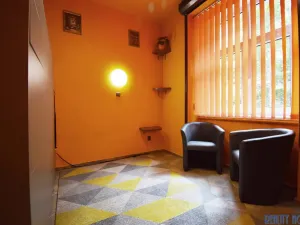 Pronájem bytu 1+kk, Praha - Žižkov, Blodkova, 20 m2