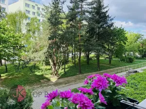 Pronájem bytu 3+kk, Praha - Chodov, Hrudičkova, 69 m2