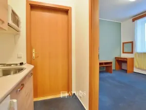 Pronájem bytu 1+kk, Brno, Horova, 27 m2