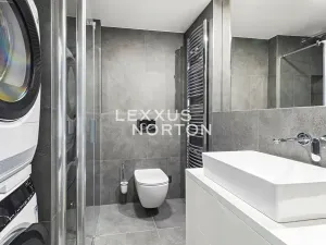 Pronájem bytu 1+kk, Praha - Michle, Hodonínská, 32 m2