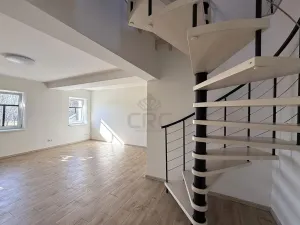 Pronájem bytu 4+kk, Rostěnice-Zvonovice - Rostěnice, 111 m2