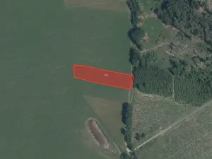 Prodej pole, Borovnice, 12271 m2