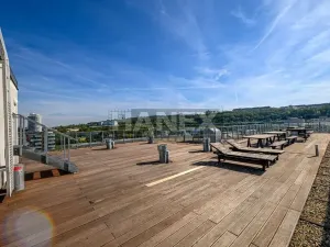 Pronájem bytu 1+kk, Praha - Karlín, Molákova, 36 m2