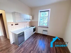 Pronájem bytu 1+1, Děčín, Oblouková, 45 m2