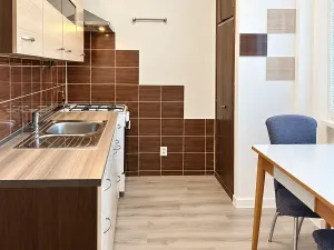 Pronájem bytu 2+1, Ostrava, Čkalovova, 60 m2