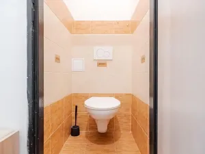 Prodej bytu 2+1, Ústí nad Orlicí, 65 m2