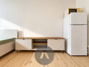 Pronájem bytu 1+kk, Brno, Žabovřeská, 35 m2