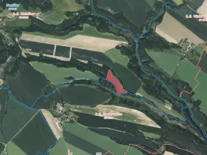 Prodej lesa, Nosálov, 44920 m2
