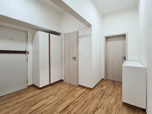 Pronájem bytu 2+1, Brno, Gorkého, 59 m2