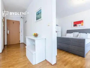 Prodej bytu 1+1, Krupka, Karla Čapka, 36 m2