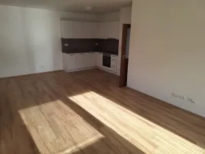 Pronájem bytu 3+kk, Přáslavice, 83 m2