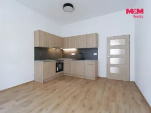 Pronájem bytu 2+kk, Plzeň - Jižní Předměstí, Americká, 62 m2
