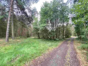 Prodej pozemku, Kladruby - Tuněchody, 2230 m2