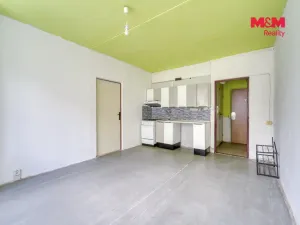Prodej bytu 1+1, Plzeň - Skvrňany, Lábkova, 40 m2