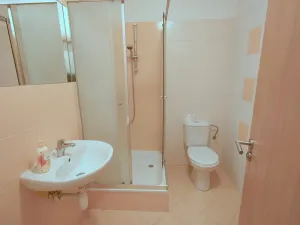 Pronájem bytu 1+kk, Brno, Tkalcovská, 30 m2