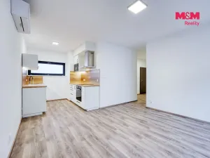 Pronájem bytu 2+kk, Plzeň - Východní Předměstí, Sladová, 54 m2