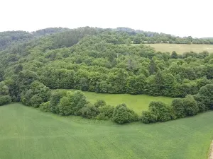 Dražba louky, Skorotice, 6028 m2