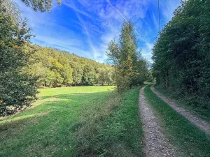 Prodej pozemku pro bydlení, Řepníky, 19850 m2