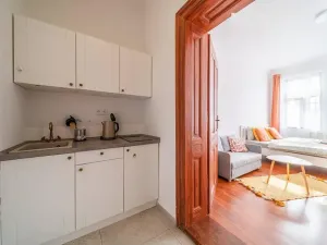 Pronájem bytu 1+kk, Karviná, Zámecká, 25 m2