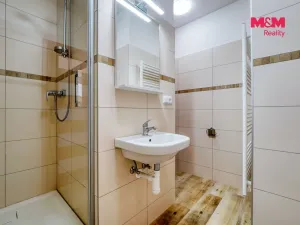 Pronájem bytu 1+1, Žihle, 44 m2