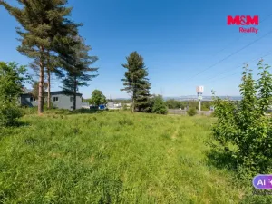 Prodej komerčního pozemku, Sokolov, Karla Havlíčka Borovského, 2821 m2