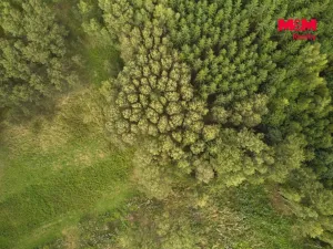 Prodej pozemku pro bydlení, Trutnov - Starý Rokytník, 1788 m2