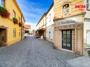 Prodej obchodního prostoru, Moravská Třebová - Město, Cihlářova, 77 m2
