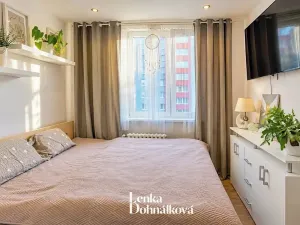 Prodej bytu 3+1, Hodonín, Jižní, 64 m2