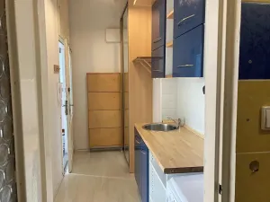 Pronájem bytu 1+1, Ostrava, 28. října, 33 m2