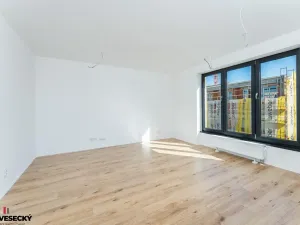 Prodej bytu 1+kk, Plzeň, Železná, 38 m2