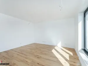 Prodej bytu 1+kk, Plzeň, Železná, 38 m2